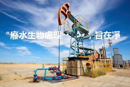 “廢水生物處理，旨在凈化水源，守護碧水藍天”